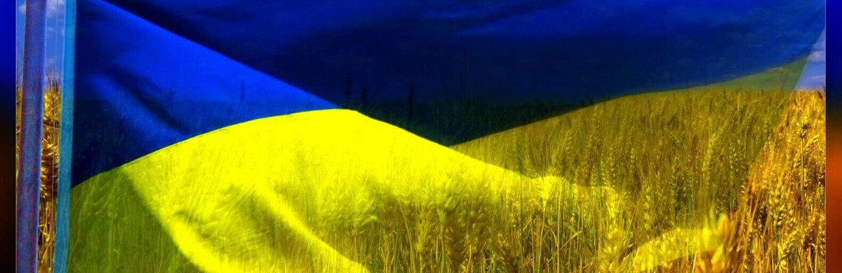 Украинцы в поле. Флаг Украины поле. Флаг Украины поле и небо. Пшеничное поле флаг Украины. Флаг Украины небо и пшеница.