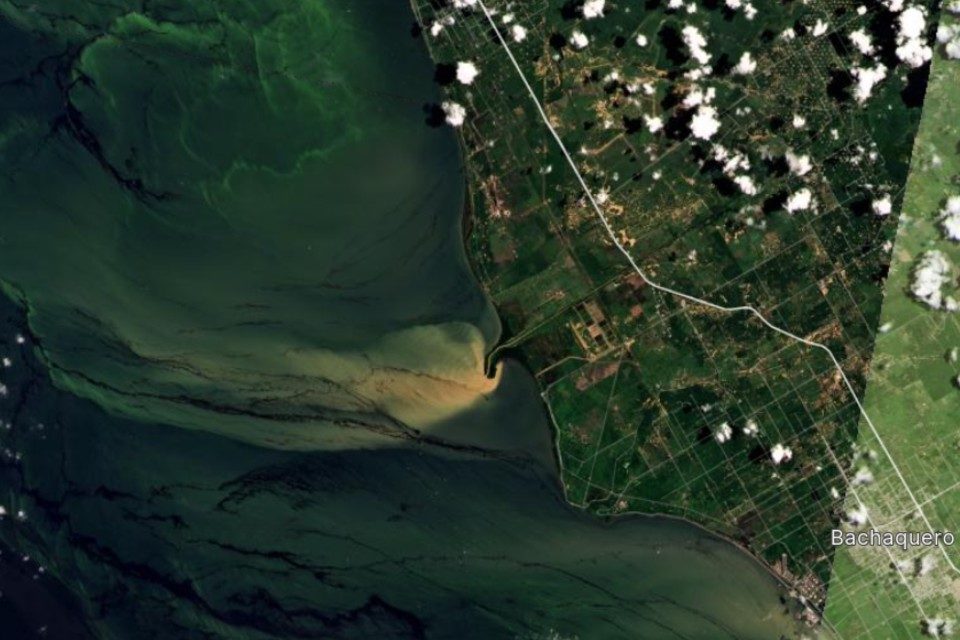 DiarioTalCual's tweet photo. Denuncian derrame de crudo en la Costa Oriental del Lago de Maracaibo este #23Ago #TalCual #ClaroyRaspao #PdvsaContamina https://t.co/uSbsuj5Jlt https://t.co/1xuVqae0kF