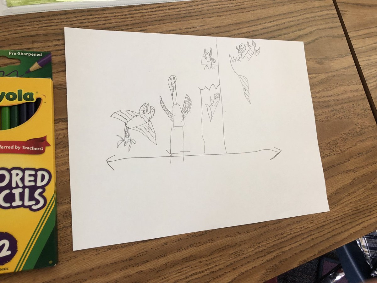 AshleyAppel2's tweet photo. G2 Ss engaging in a noticing math talk with a @youcubed #weekofinspirationalmath activity! Check out their own graphs they made! @sleepyOUSD https://t.co/3bzgO6J0eq