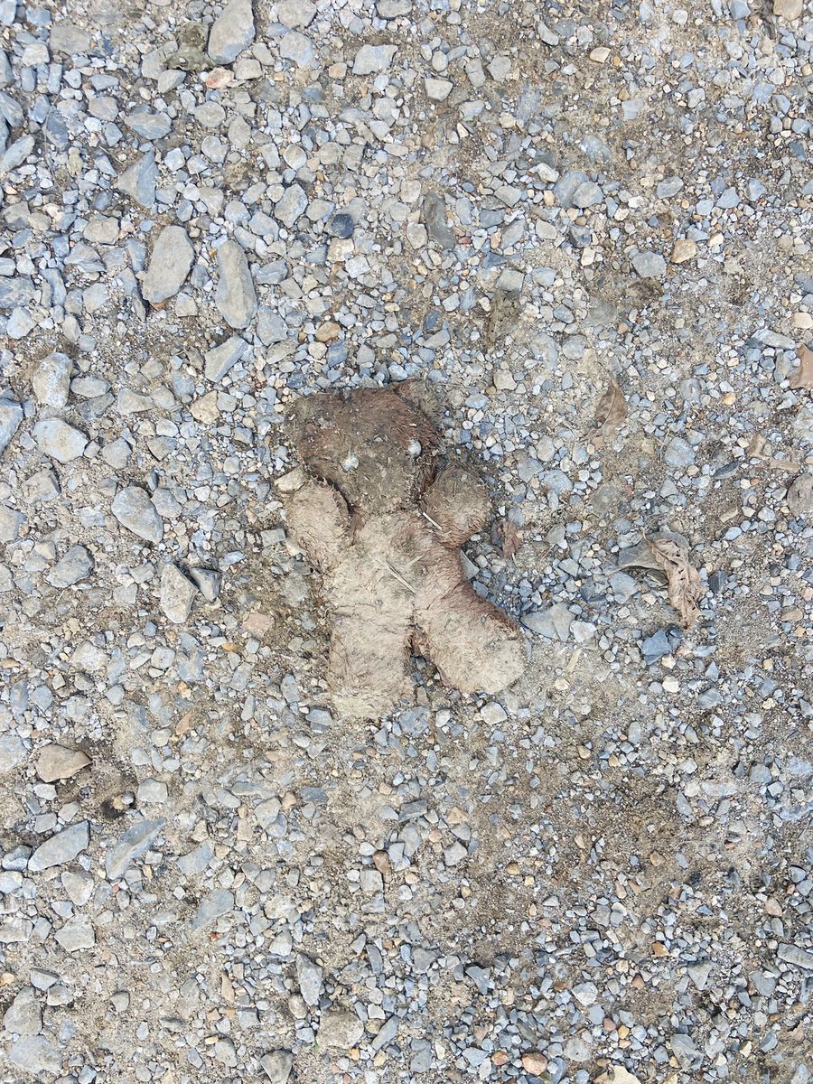 A heart wrenching view of debris in Waverly. Families now trying to rebuild with the very little they have left. <a href="/WKRN/">WKRN News 2</a> #flooddamage