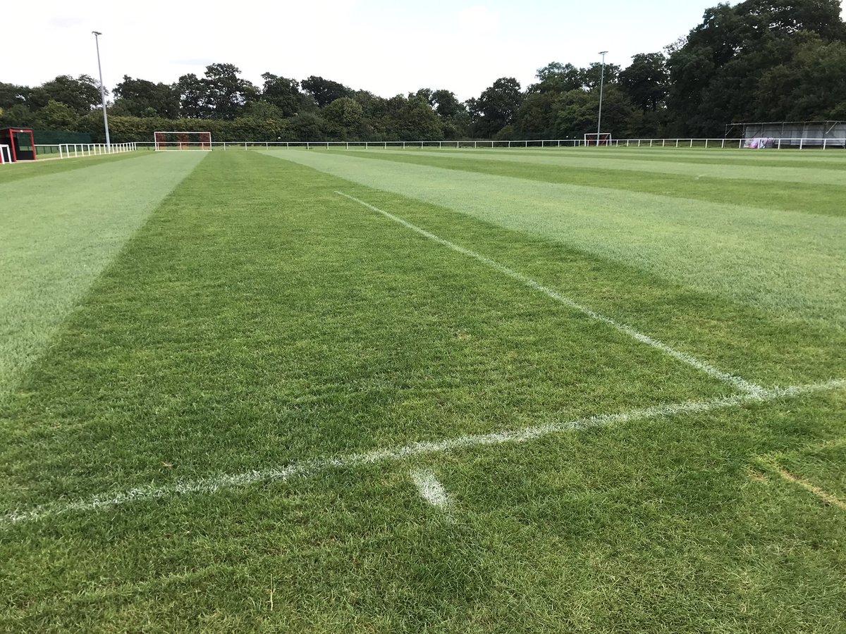 CarelFourie015's tweet photo. Clean out after weekends rain and no games till weekend!!! @LeicNirvana 🌱🌱🌱 #multigreen @HeadlandAmenity still going strong 👌🏻⚽️ @utdcos @leicsfa @NonLeaguePaper @BrushesNwltd @DennisMowers @sgm_m https://t.co/THBLlxuUzd