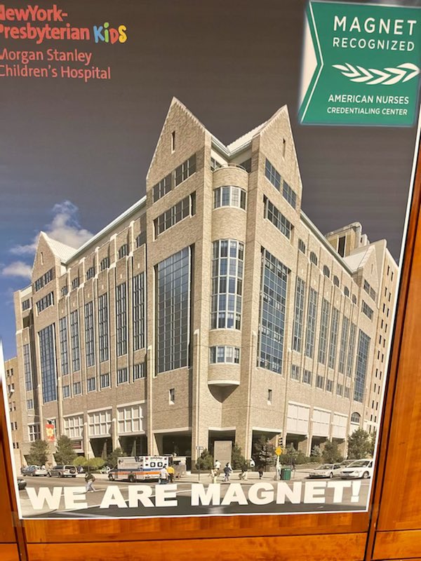 MSCH ED tweet media