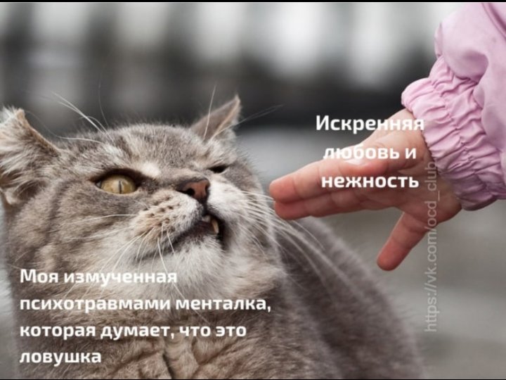 Хорошего вечера, бро")