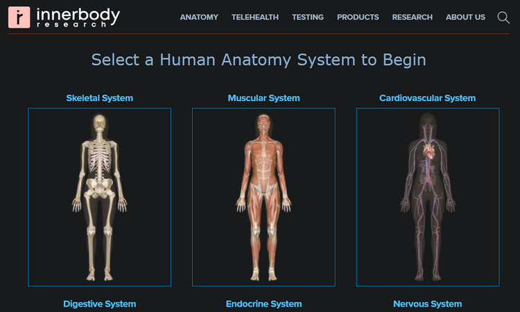 اي شخص وده يدرس جسم الإنسان بطريقة رهيبة اتوقع هذا الموقع مفيد جداً خلينا نقول لطلاب الطب.

innerbody.com/htm/body.html