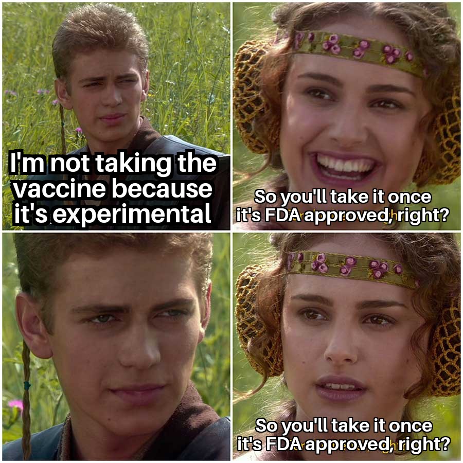 dapperfonz's tweet image. 