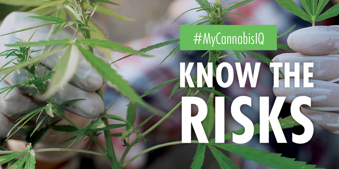 NorthBEAT_ON's tweet photo. Start with the facts about cannabis use! Know the drug, know your loved one, know the risks. The more you know what you’re talking about, the more naturally the conversation will flow. #mycannabisiq @help4psychosis 
https://t.co/oGqoKpaOdp https://t.co/KhIE0h5P2f