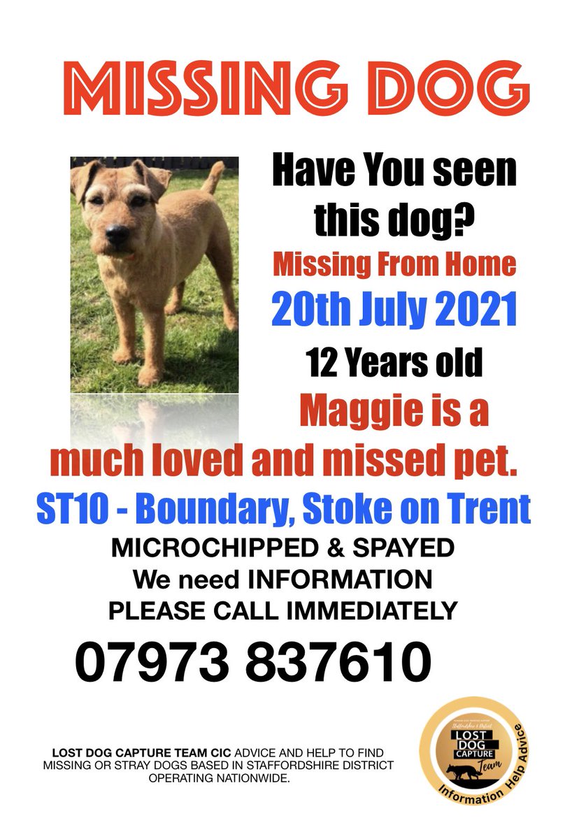 LostCapture's tweet image. 