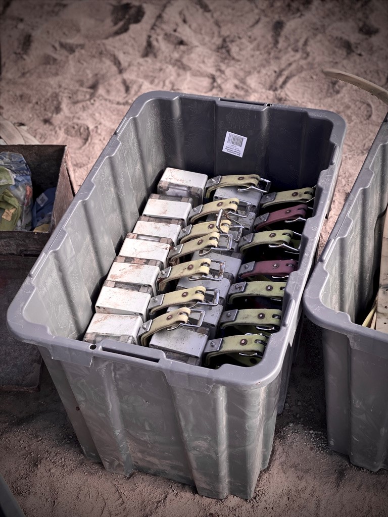 Last year, there was no difference—this year there's a 10% increase in calf loss in the unshaded trial paddocks. Read the latest from the 'Reducing calf loss from exposure' project: bit.ly/3B1rPy3