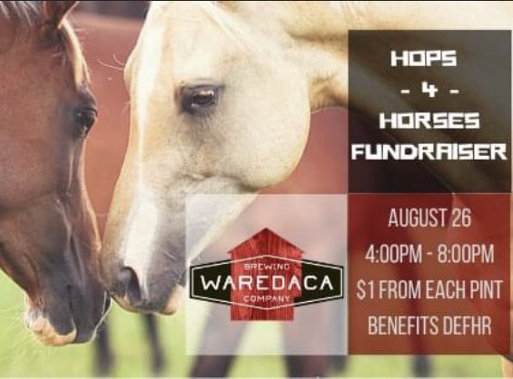 Join us this Thursday to support Days End Farm Horse Rescue. Enjoy an evening of outdoor games, music, food, and drinks– all in the name of horses! $1 from every pint sold and tips from the evening will be donated to DEFHR.  Details at orderwaredaca.com
