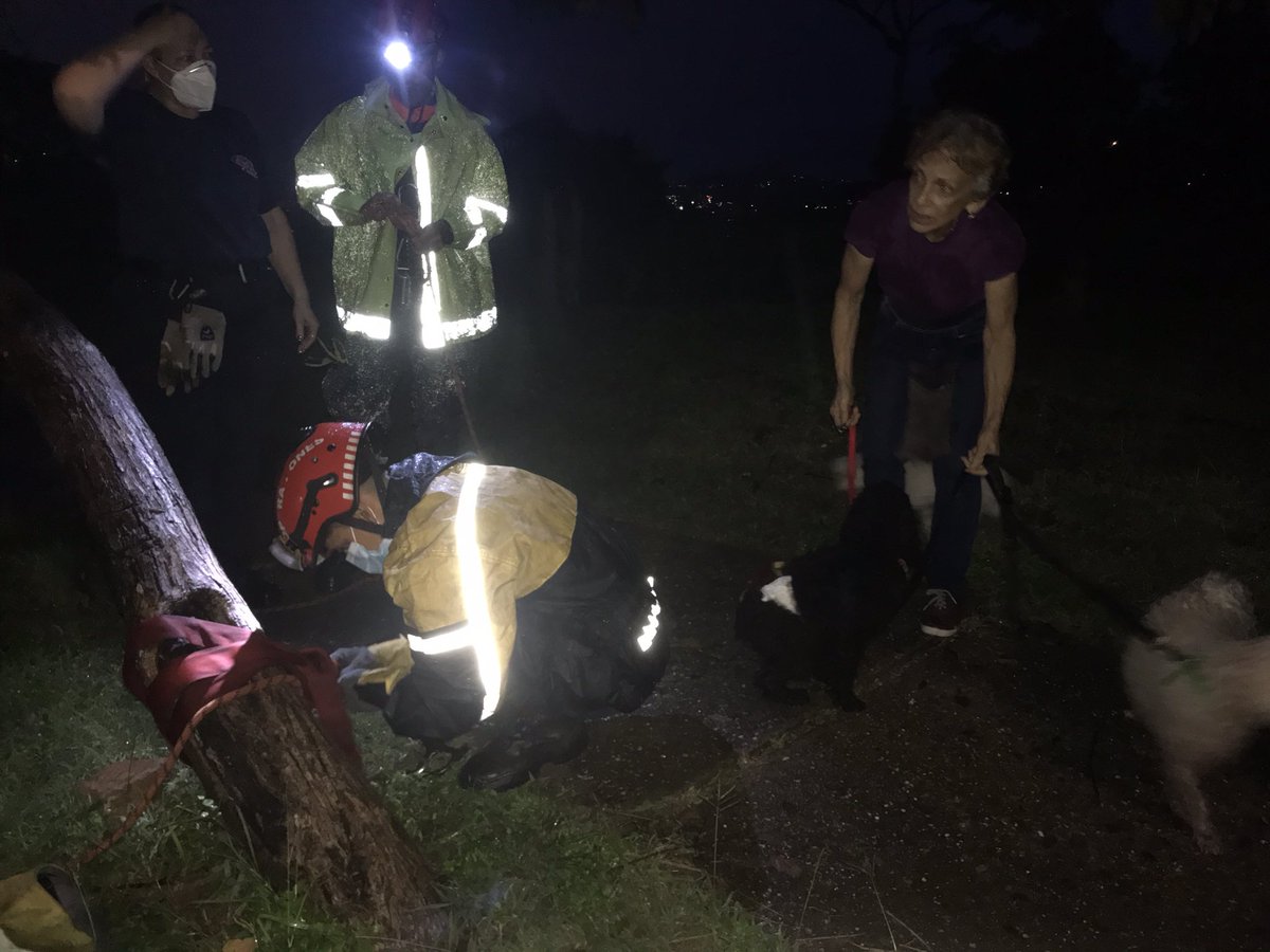 Jorge  Lpez tweet media