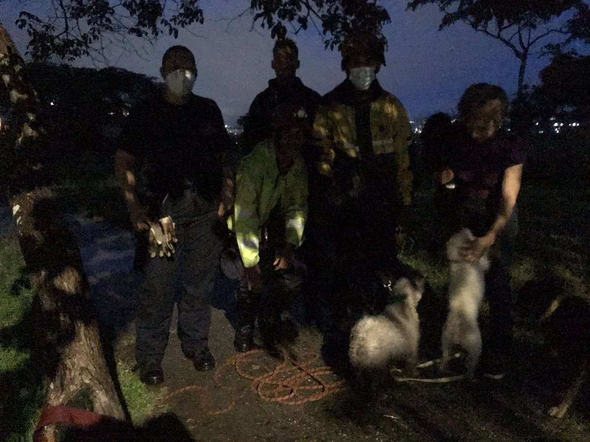 Jorge  Lpez tweet media