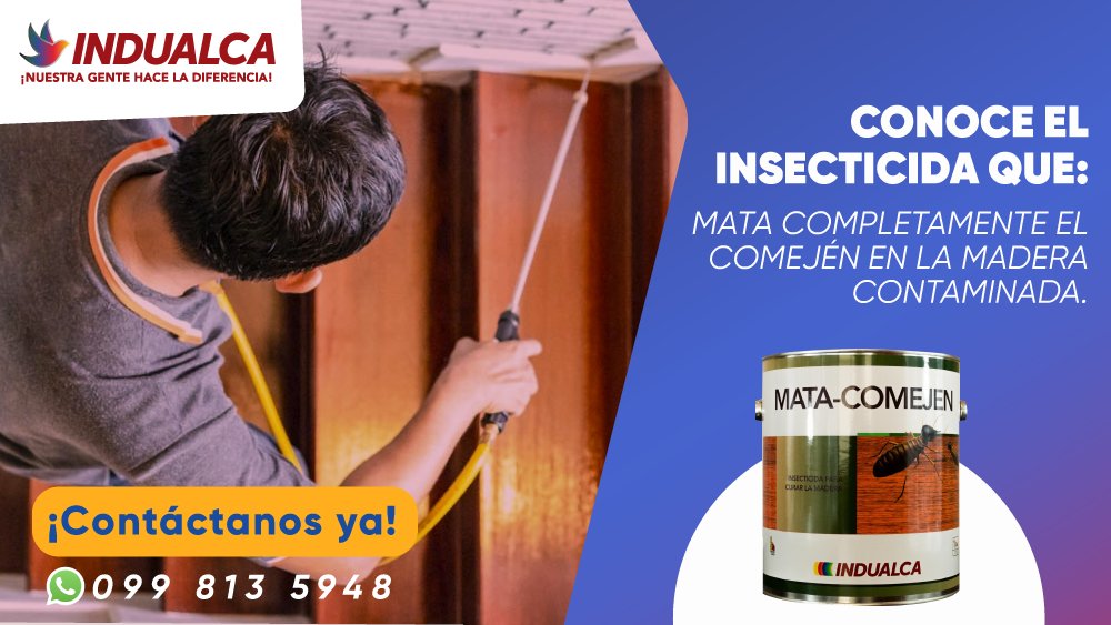 Indualca's tweet photo. En Indualca obtienes productos de calidad, 💯 % garantizados.
👉 Te presentamos el MATA COMEJÉN #Indualca curativo para todo tipo de maderas.
Pesticida orgánico de ¡ALTA EFICIENCIA! 👌👌

ADQUIÉRELO YA Y HAZ TU PEDIDO! 🛒🛒
CONTÁCTANOS  YA!
📱 099 813 5948 https://t.co/fNwb7n5fau