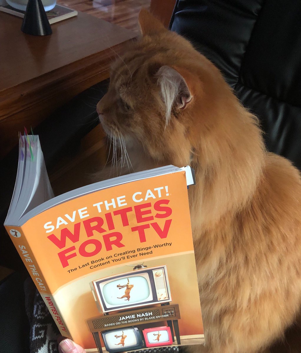 Highly recommend Save the Cat writes for TV 📺 @savethecat @savethecatwritesfortv 

#amreading #screenwriter #screenwriterslife #screenwriterlife #writing #authorlife #author 

#scarystories #scarymovie #tv #tvwriter #tvwriting #tvpilot #tnoc #showrunner