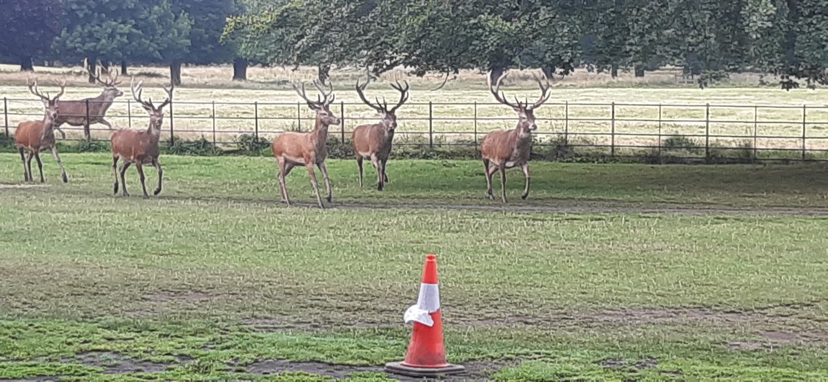Parking was... interesting this morning at <a href="/WollatonHall/">Wollaton Hall</a>! We are hosting an Open Day in our on site marquee to showcase our findings on We Dig...Wollaton Park this Saturday 28th Aug 10am-4pm, hopefully the parking will be easier! #archaeology #openday #WeDig #lastweek