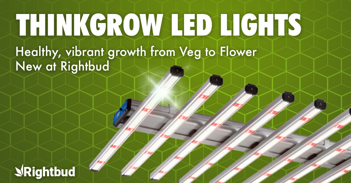 RightbudUSA's tweet photo. Grow lights for your plants. Beautiful harvests for you. What could be better?

https://t.co/SDgS4gsrji

@thinkgrow.led #thinkgrowled #bestcontrollability #ThinkGrow #ETLlisted #hydroponics #Greenhouse #Greenhousegrowlight #growlight #ledgrowlight #growroom #ETL https://t.co/kO3BXMyGwS