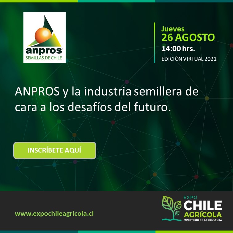 Anpros Semillas de Chile tweet media