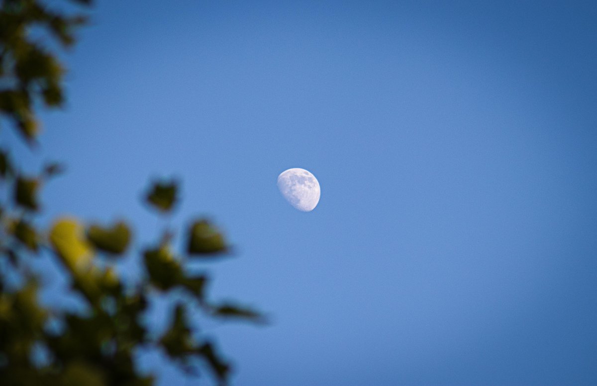 MDA Space (@mda_space) on Twitter photo To the Moon we go 🌑 ! We've been selected by <a href="/Int_Machines/">Intuitive Machines</a> to provide Lunar landing sensors to support the first soft landing US mission to the Moon since 1972!
#MissionMDA #SpaceSymposium #36space <a href="/SpaceFoundation/">Space Foundation</a>
Learn more: mda.space/en/article/int… To the Moon we go 🌑 ! We've been selected by <a href="/Int_Machines/">Intuitive Machines</a> to provide Lunar landing sensors to support the first soft landing US mission to the Moon since 1972!
#MissionMDA #SpaceSymposium #36space <a href="/SpaceFoundation/">Space Foundation</a>
Learn more: mda.space/en/article/int…