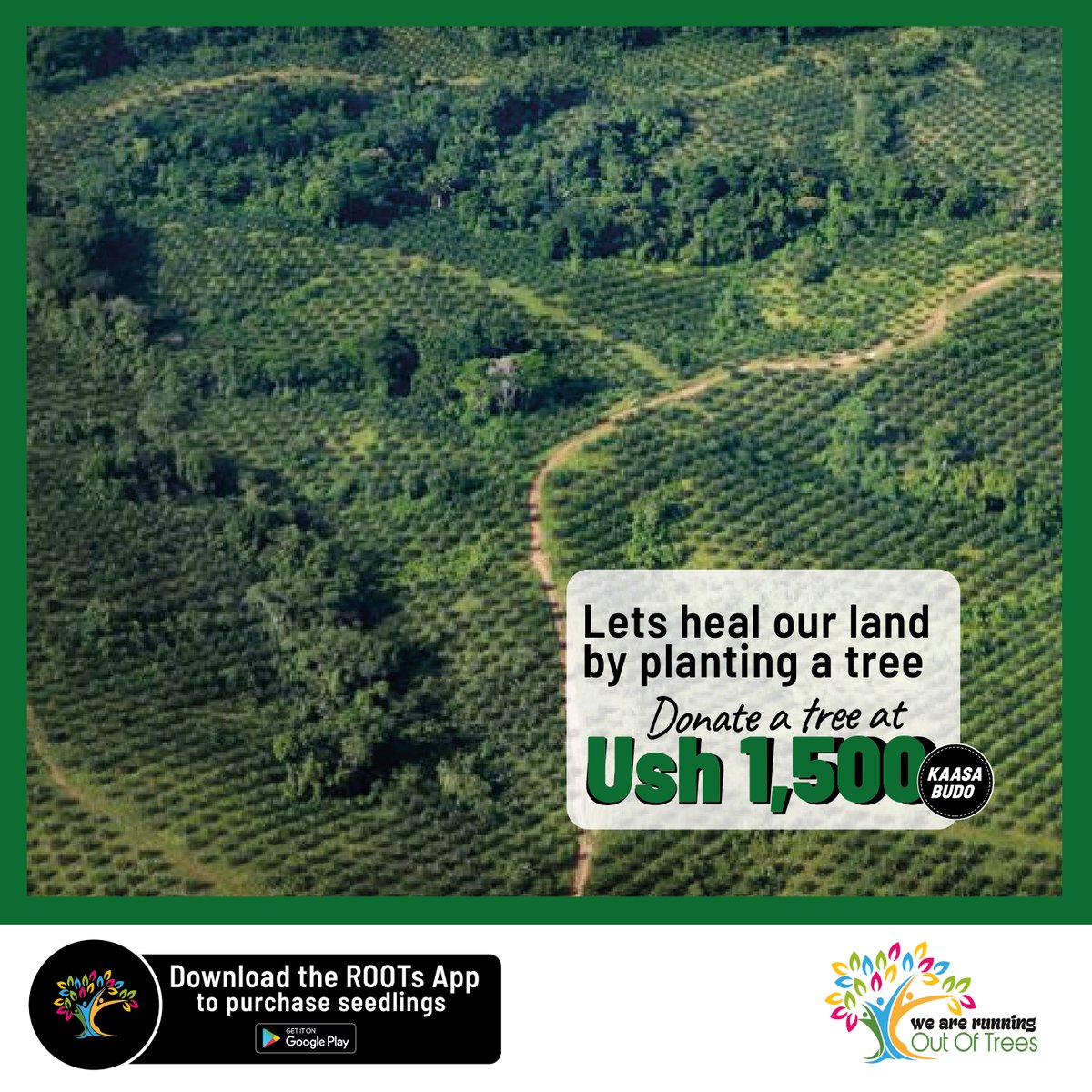 What are you doing differently about nature? A number of people have donated Ugshs1500 through our ROOTS app to help plant a tree and you too can join the campaign. Download the Roots and plant a tree today. Kaasa budo katono nnyo #RunningOutOfTrees