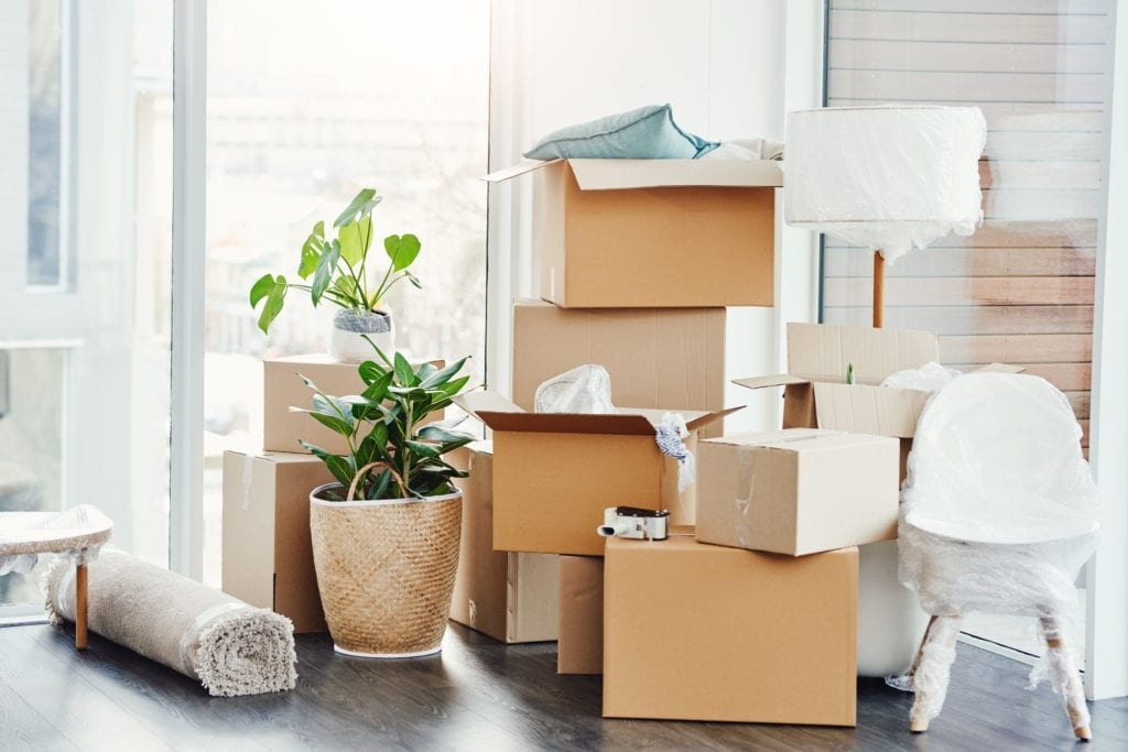 OKMOVEME's tweet photo. Are you overwhelmed with the thought of moving? Don't worry, we are here to help!
Get in touch with us today: https://t.co/zGshF0oxpd #OKMoveMe #Movers #Moving #StressFree #HomeOwners https://t.co/GlVInAgOS4