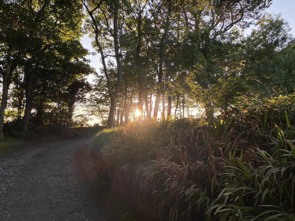 Post work podcast and walk in #Donegal doesn’t get much better