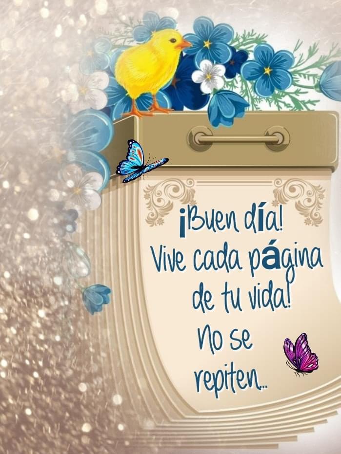 Ollorosa's tweet photo. @DannaGarcia Preciosa, que te preocupa ahora. Has pasado unas vacaciones bonitas. El Mundo está  convulso Covi19  desastres naturales. Nuevamente los Talibanes.  Ruego 🙏❤por todos.bendiciones https://t.co/03EWhvl6NI