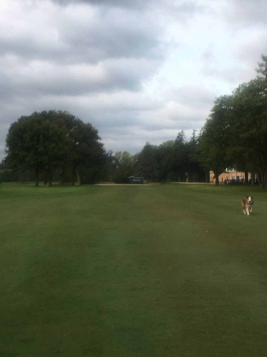 kjm_turf's tweet photo. Hole 18 is a short but demanding par 4. If you need a birdie to win a match, it is possible but requires 2 very precise shots. Don’t mind the sand on the green, my last day was greens aerification. https://t.co/jIe2qDR3Vl