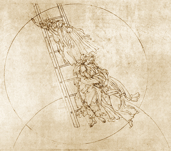 red head 🪁 tweet media