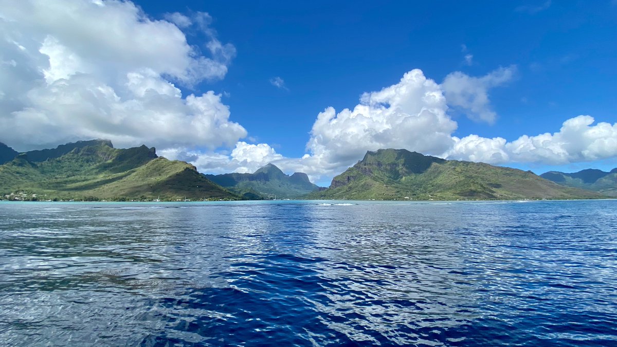 🚨Awesome job alert!🚨
The Marine Science Institute at UCSB is hiring a Junior Specialist in Marine Ecology. Come work with the <a href="/BurkepileLab/">Burkepile Lab</a> and the Moorea Coral Reef LTER! Review begins Sept 1. 
🐠🐟🐡 
recruit.ap.ucsb.edu/JPF02016