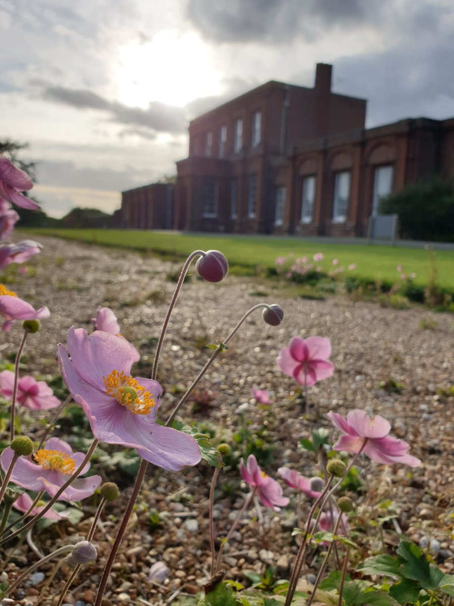 AshburnhamPlace's tweet photo. "Our church weekend was the best we have had for years. The location, the facilities and the staff were outstanding. We can't wait to come back next year."

REVD TONY HARTFORD https://t.co/J9wA1q8OkM