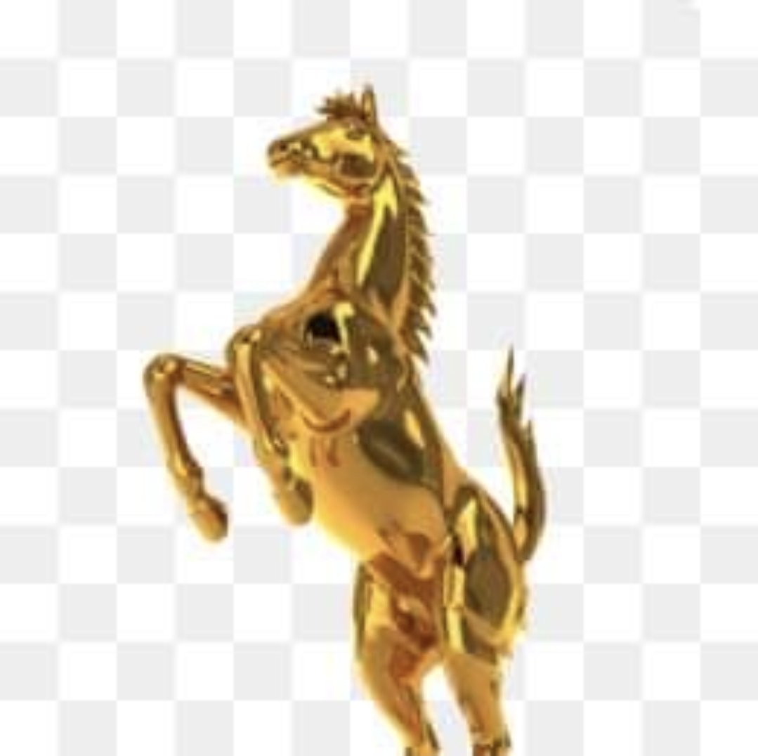 #المؤتمر_مستقبل_وطن