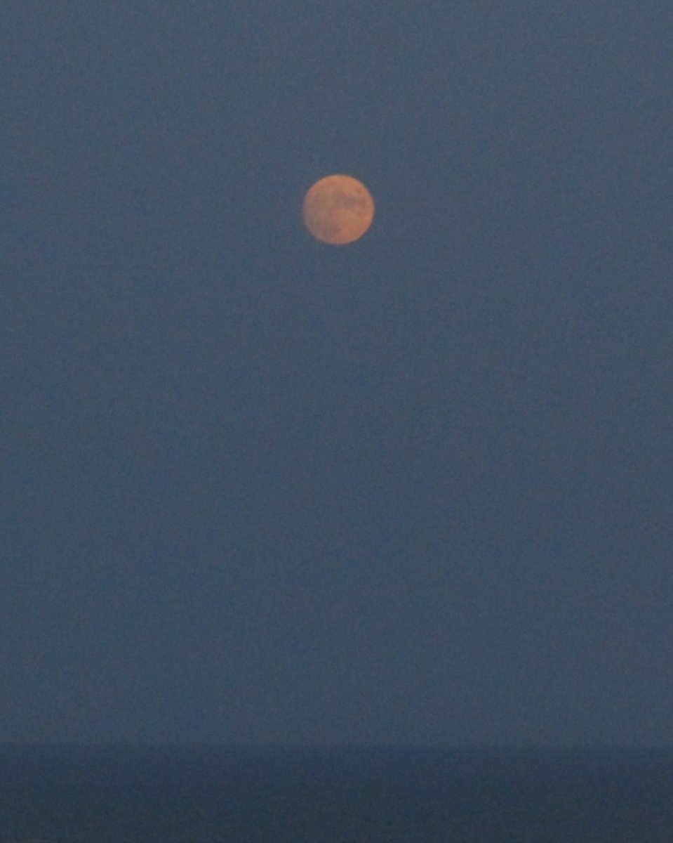 Manuel Revilla tweet media