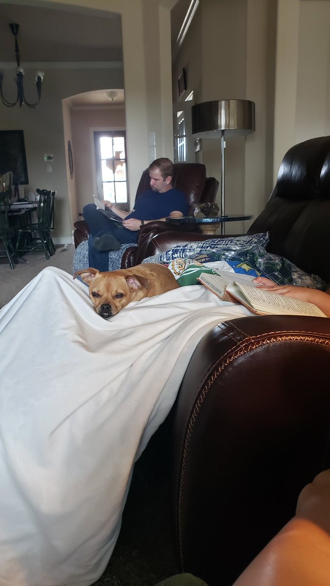 Read Read Everyday! Summers over,  but we're still reading!  <a href="/SonntagElem/">Sonntag Elementary</a> <a href="/RamonaLibrarian/">Ramona Browne</a> #sonntagsummerreading