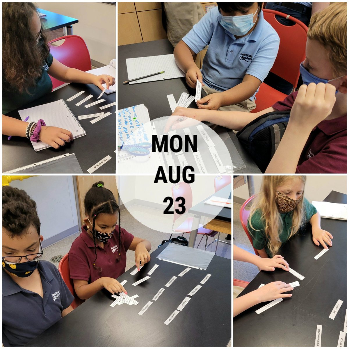 LittleLeaders4's tweet photo. Card sort vocab review...❤ the discussions! #ecosystems #RowTheBoatEWA #Rocking5thGrade #RockingQ1 https://t.co/vbLX9RbXNM