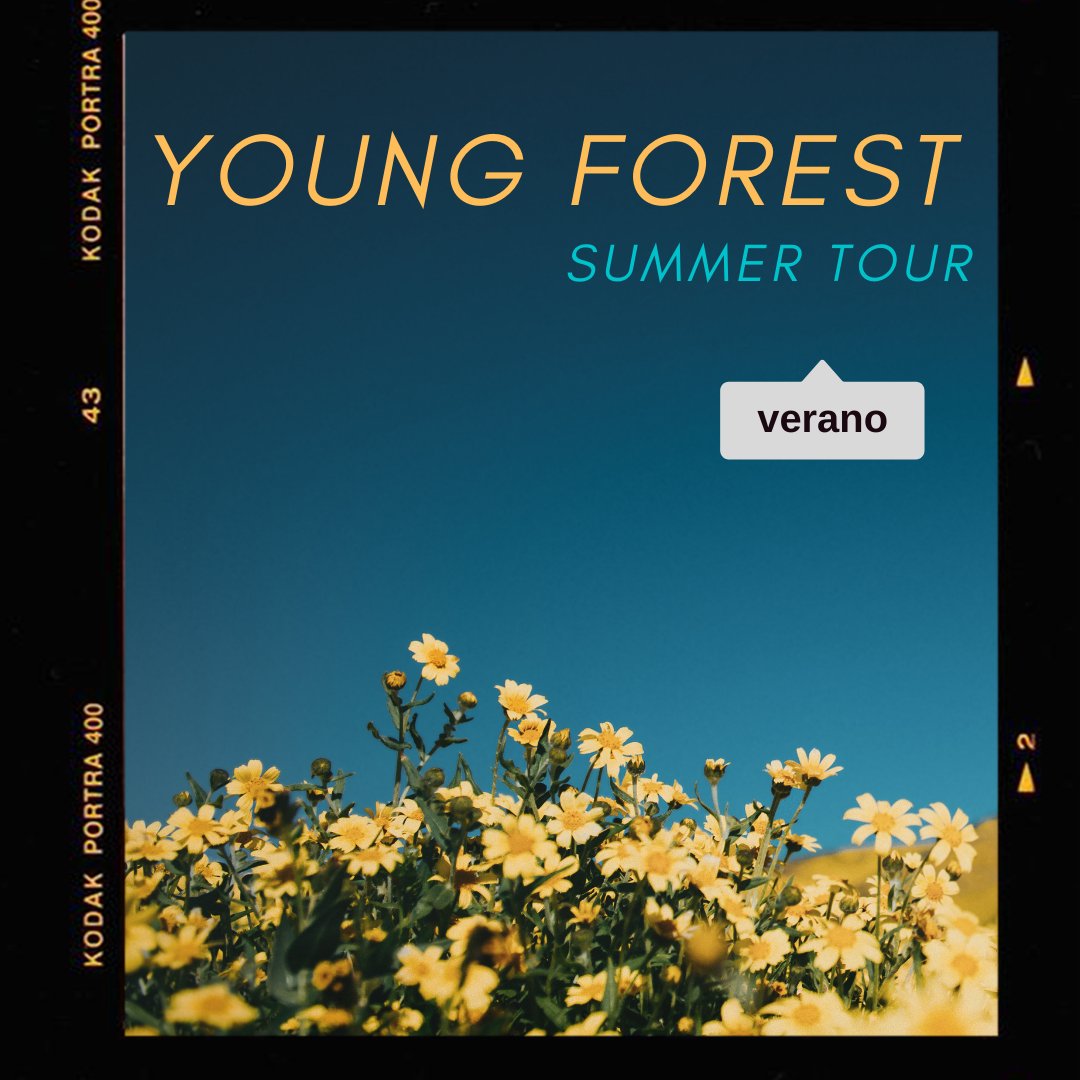 Anunciamos las fechas de la gira de verano. Is this real life? Yes, it is 😎