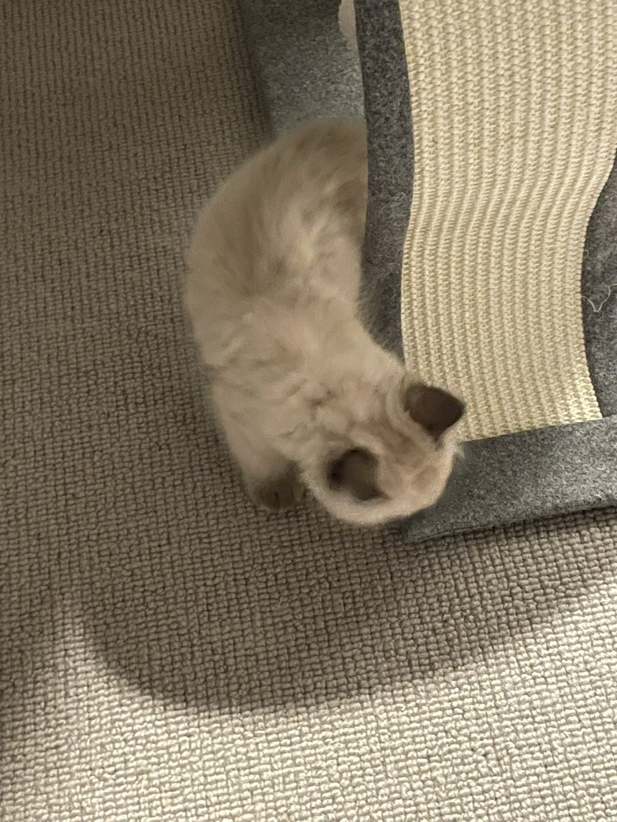 วุ่นวายมาก