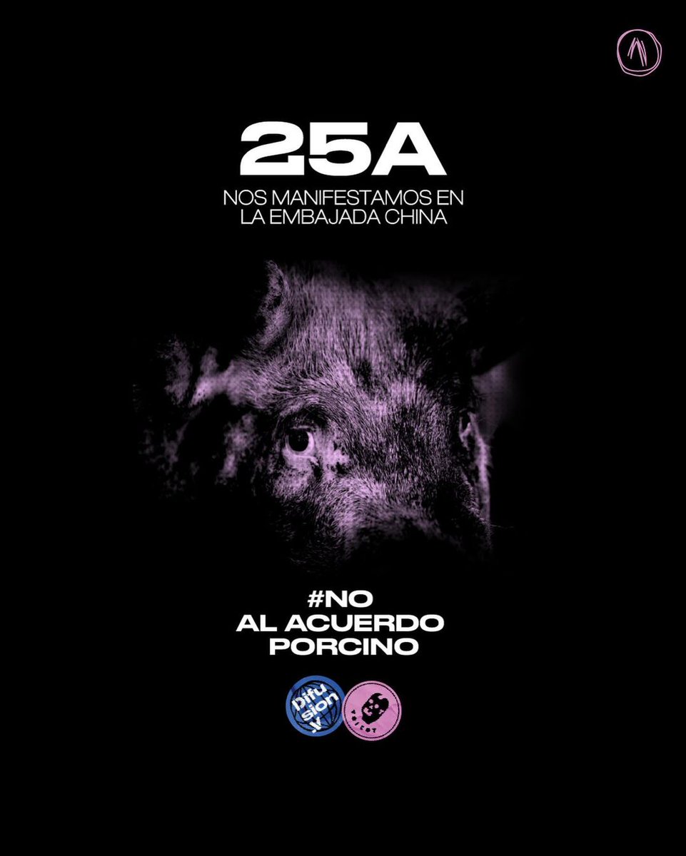 somosvoicot's tweet image. #NoAlAcuerdoPorcinoConChina Nos vemos este miércoles a las 14hs en la Embajada de China 💪
📍Av. Crisologo Larralde 5349