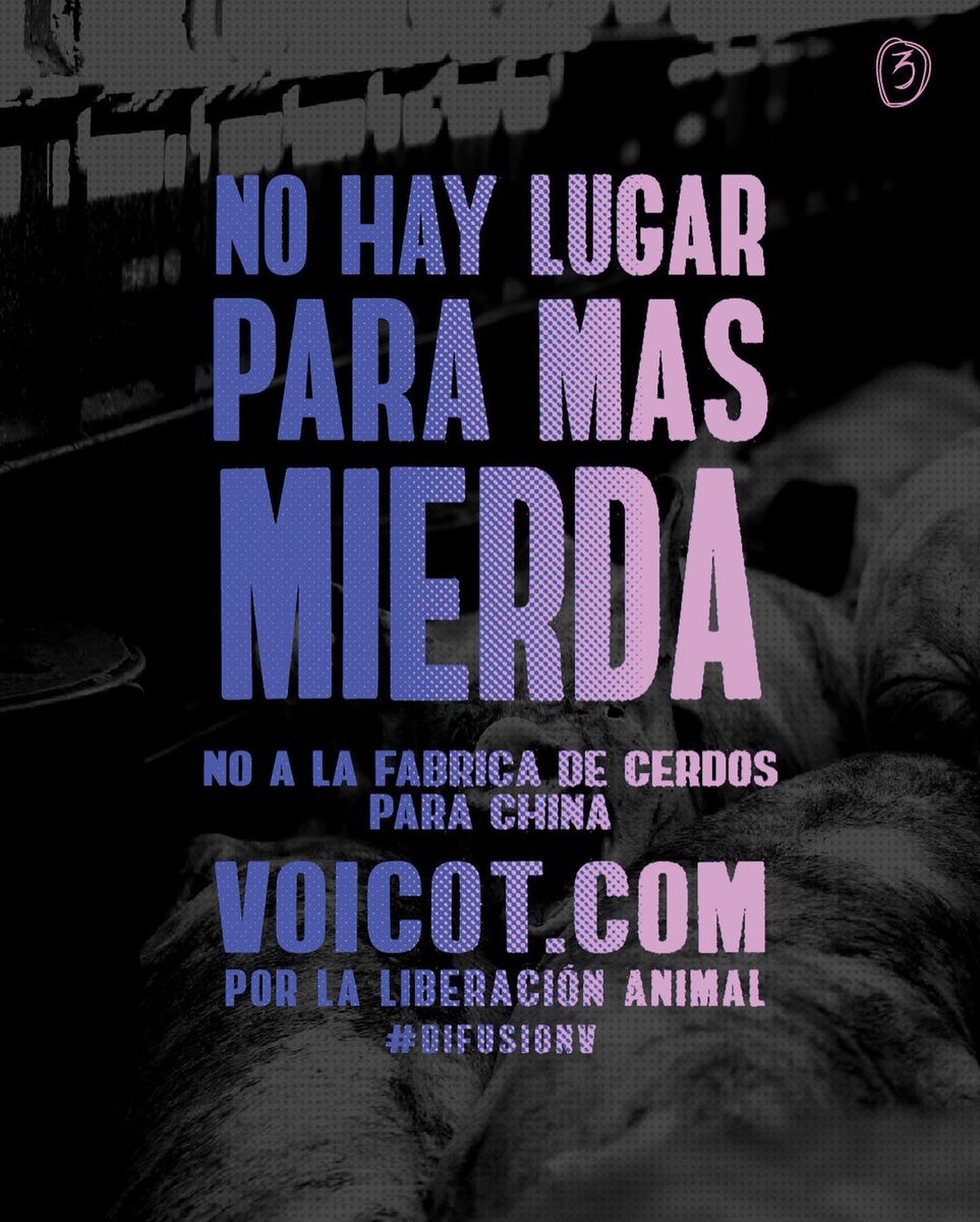 somosvoicot's tweet image. #NoAlAcuerdoPorcinoConChina Nos vemos este miércoles a las 14hs en la Embajada de China 💪
📍Av. Crisologo Larralde 5349