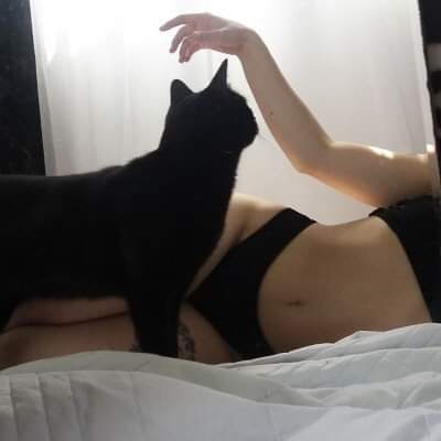 CatLofiu's tweet photo. Me gustan los gatos &amp; a ustedes? https://t.co/L5iY7p4Jdu