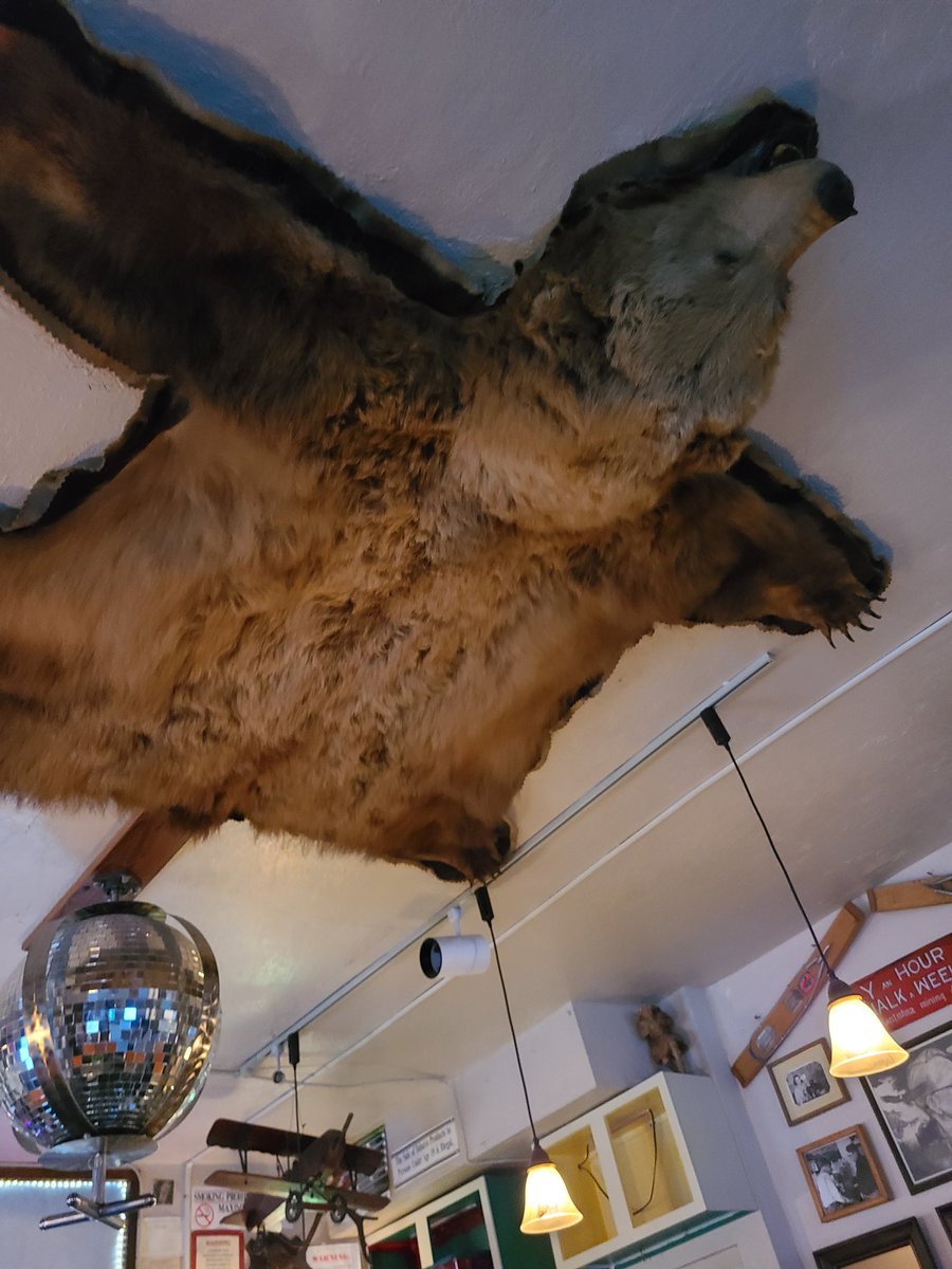 Ben_Drinking's tweet photo. The Fairview Inn in Talkeetna easily became one of my favorite bars ever. The show "Northern Exposure" was based on this town and the mayor is a cat. https://t.co/VLTs43vojP