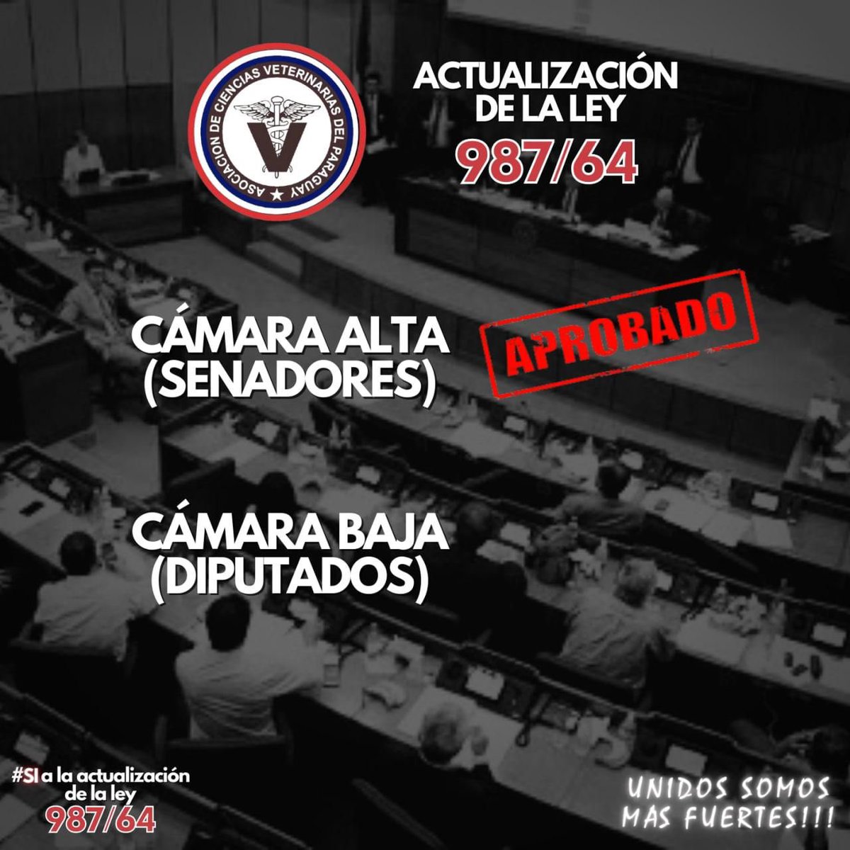 SilCampodonicoP's tweet photo. Necesitamos la aprobación H. Camara de Diputados  @AllianaPedro @CelsoKennedy @CelesteDiputada @sebagar8 @bachinunez_nuez @CaroBejarano1 https://t.co/MESdm2oRQk