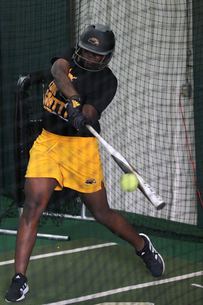 Southern Miss Softball tweet media