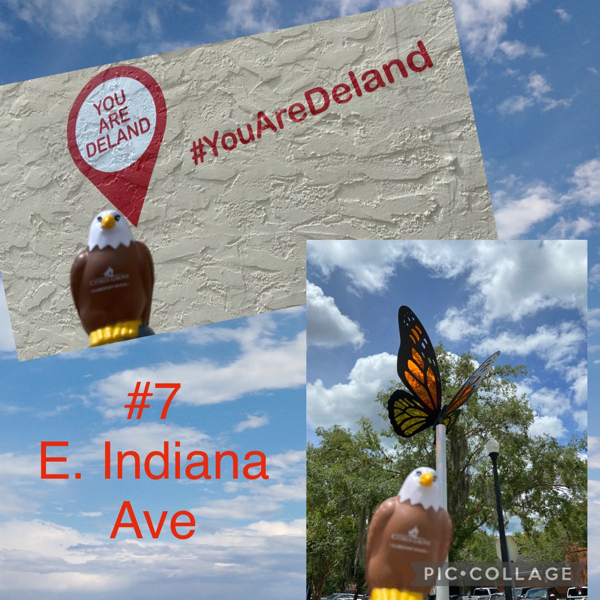 kmevans3's tweet photo. Monarch Monday is back for Squeagle @CitrusGrove_VCS ! Just because the 2021-2022 school year @volusiaschools started doesn’t mean the adventures stop. Now we want to see Squeagle adventures with students too! So, let’s go @CitrusGrove_VCS students! #cgesqueagle #monarch7 https://t.co/Frqx3eLOOt