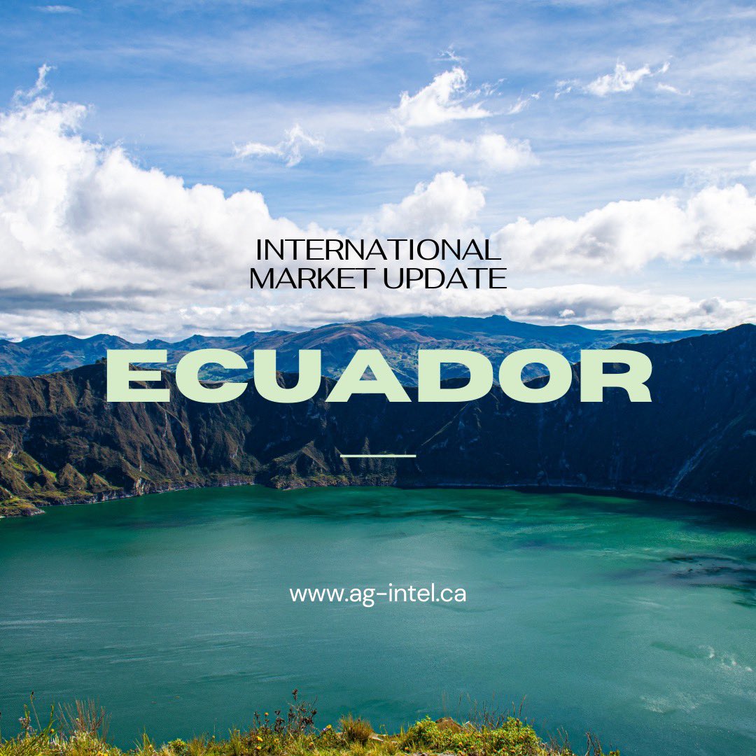 Ecuador’s farmers have turned to hemp as the new popular crop choice due to the decline in flower sales.  

CannAndes plans to export CBD to Switzerland, which he said is the largest market for hemp flower. growers are seeking federal licenses to sell CBD products in Ecuador.