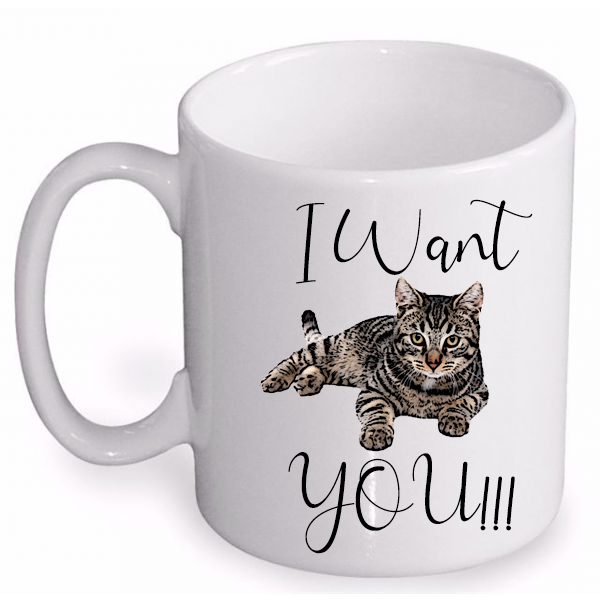 Fourique's tweet image. 