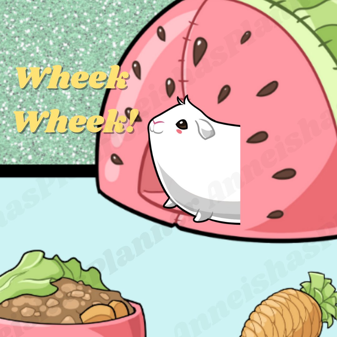 AnneishasP's tweet photo. Week Wheek! Good Morning 🥕 

#goodmorning #guineapig #wheekwheek #plannerstickers #plannerstore #stickerkit #guineapigstickers #planner https://t.co/2E9RVfQEmk