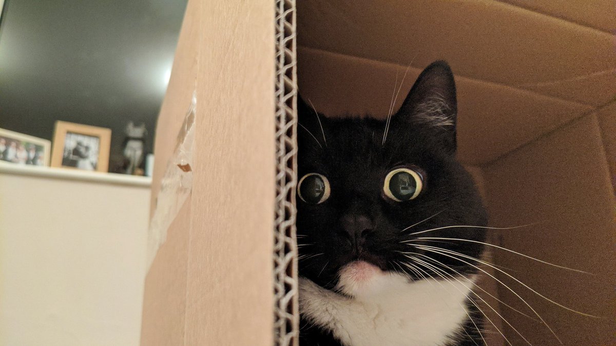 Abandon the plan
We cannot remain
Just get in the box
No time to explain