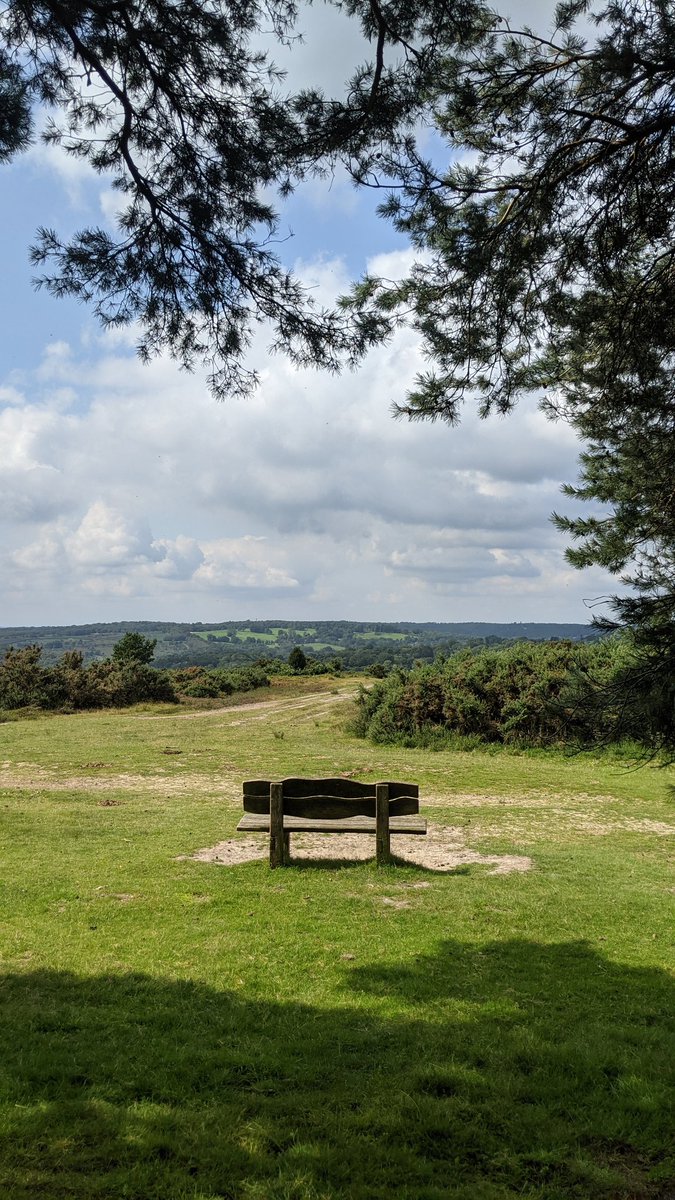 Outdoor therapy doesn't have to mean walking all the time. Just looking at this photo makes me take a long deep breath 💚 #ashdownforest #outdoortherapy #spacetobreathe