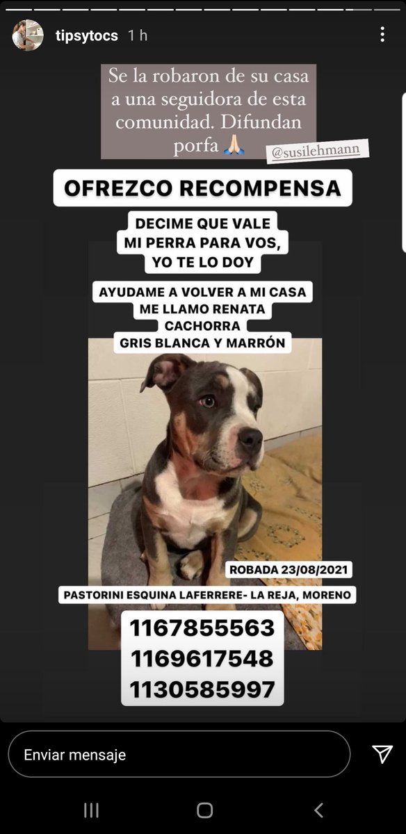 Podrían compartir  x fvr <a href="/soplodevida_/">SOPLO DE VIDA</a> <a href="/elcampito/">El Campito Refugio</a> <a href="/lasrenatasok/">Refugio Las Renatas</a> <a href="/refugioenalerta/">refugioenalerta</a> <a href="/GapraRefugio/">Gapra Refugio</a> <a href="/redmascotera/">Red Mascotera</a>