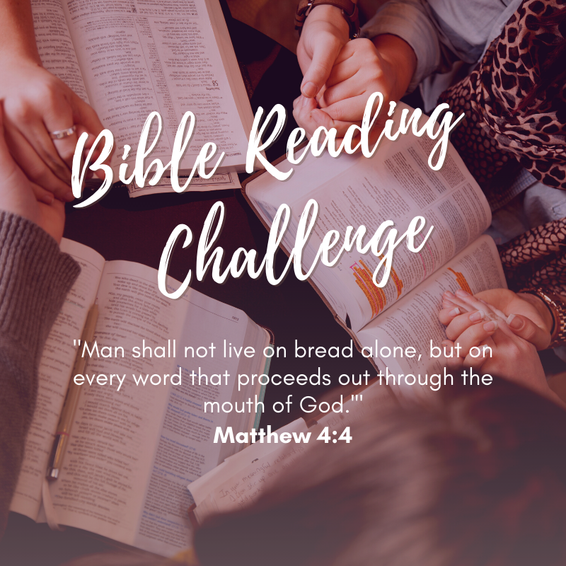 CSatIRVINE's tweet photo. Summer Bible Reading Challenge - https://t.co/ij7NqHTnMa https://t.co/MpdwvFtUKE