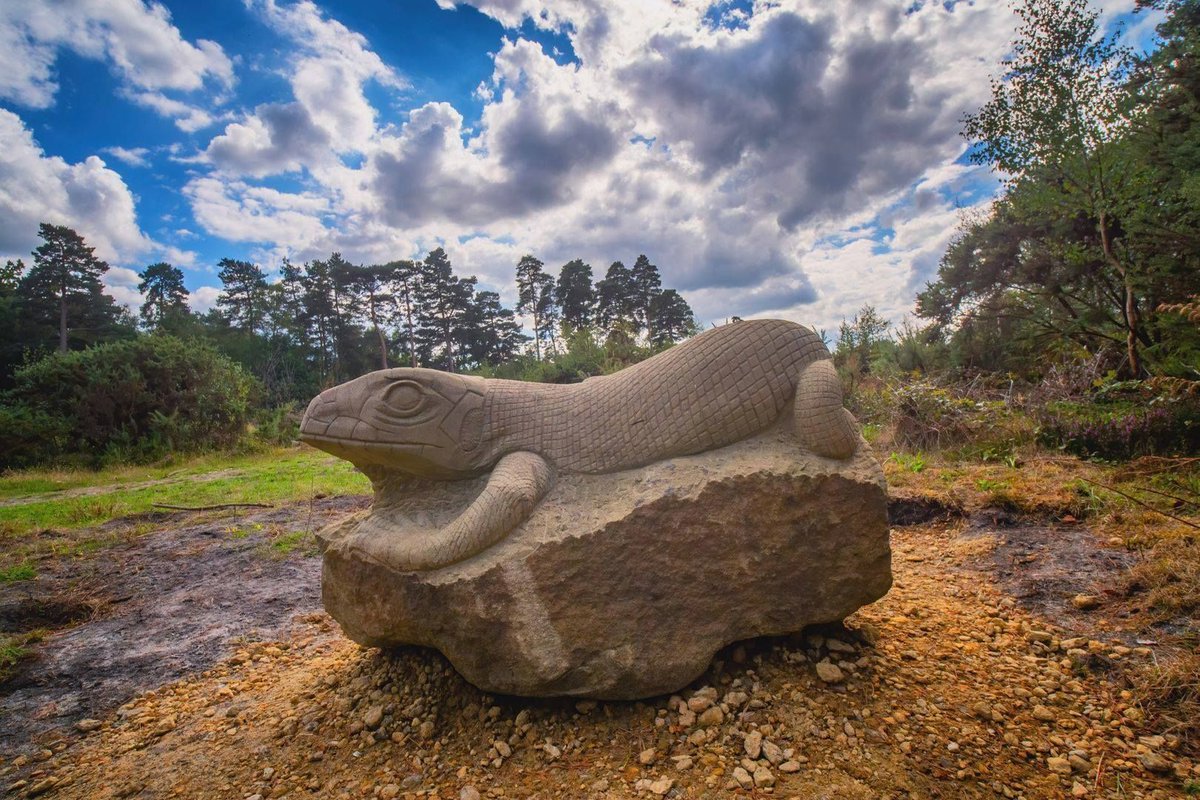 sdnpa's tweet image. Did you know that Lavington Common is home to three different types of lizard?⠀
⠀
Slow worms, Common and Sand lizards 🦎⠀ ⠀

You can visit the Lavington Lizard and all the heathland sculptures &amp;gt;&amp;gt;&amp;gt; buff.ly/372usm0
⠀
📷 Sam Moore⠀

#HeathlandsReunited #HelpTheHeaths